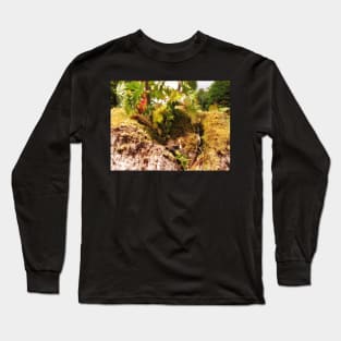 Pendle Fairy Garden Long Sleeve T-Shirt